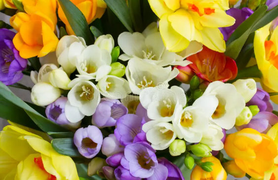 Spring