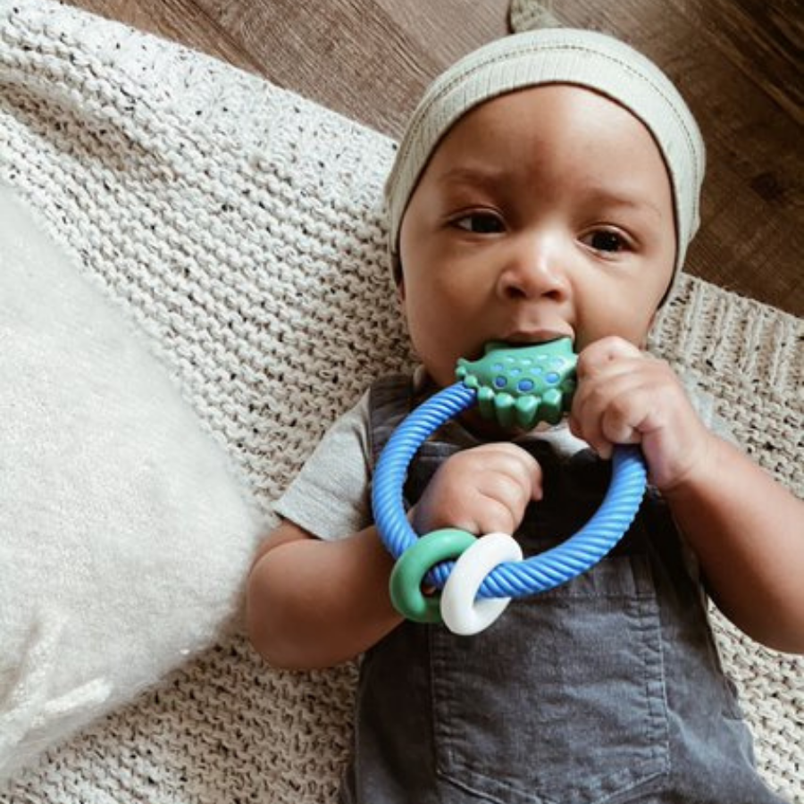 Ritzy Rattle™ Silicone Teether Rattles: Dino