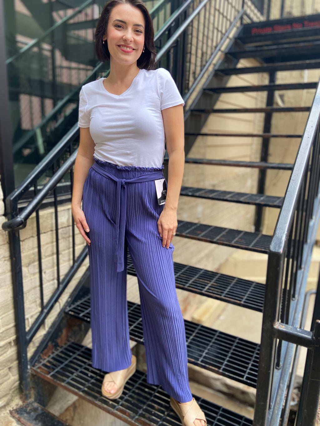 Pasadena Dusk Pleated Pants