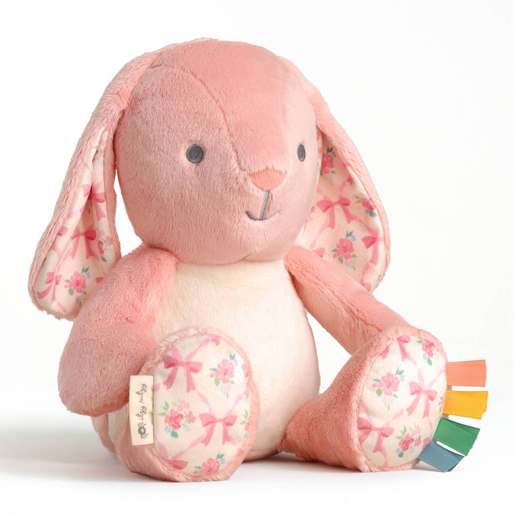 Sweetie Snuggles™ Plush: Goose