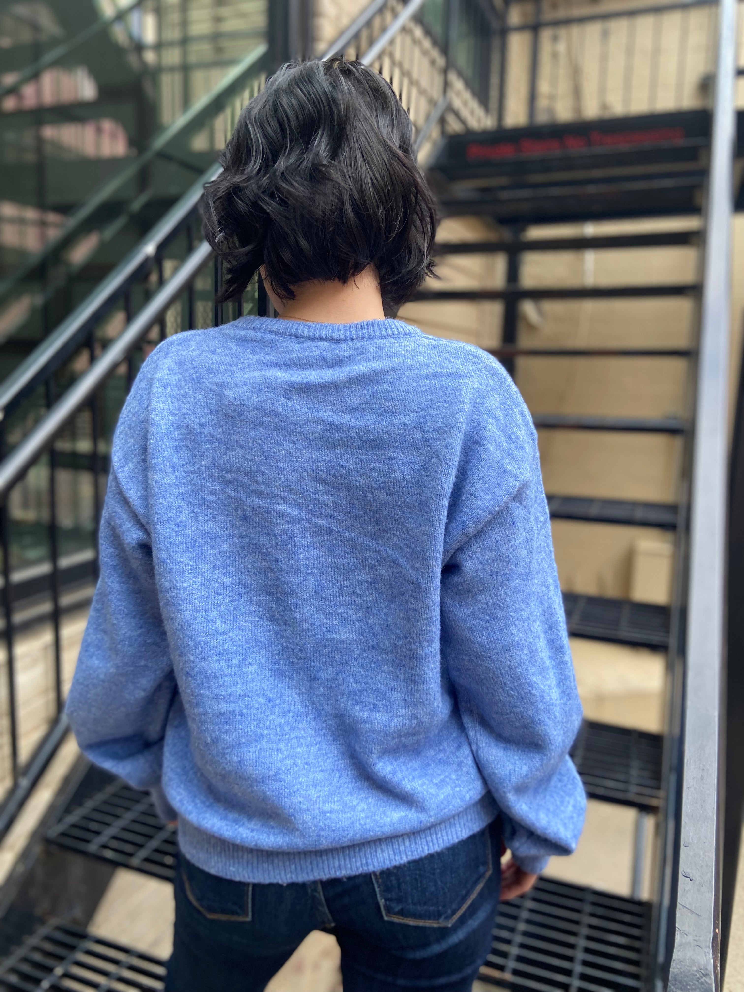 Blue Bow Knit Crew Sweater