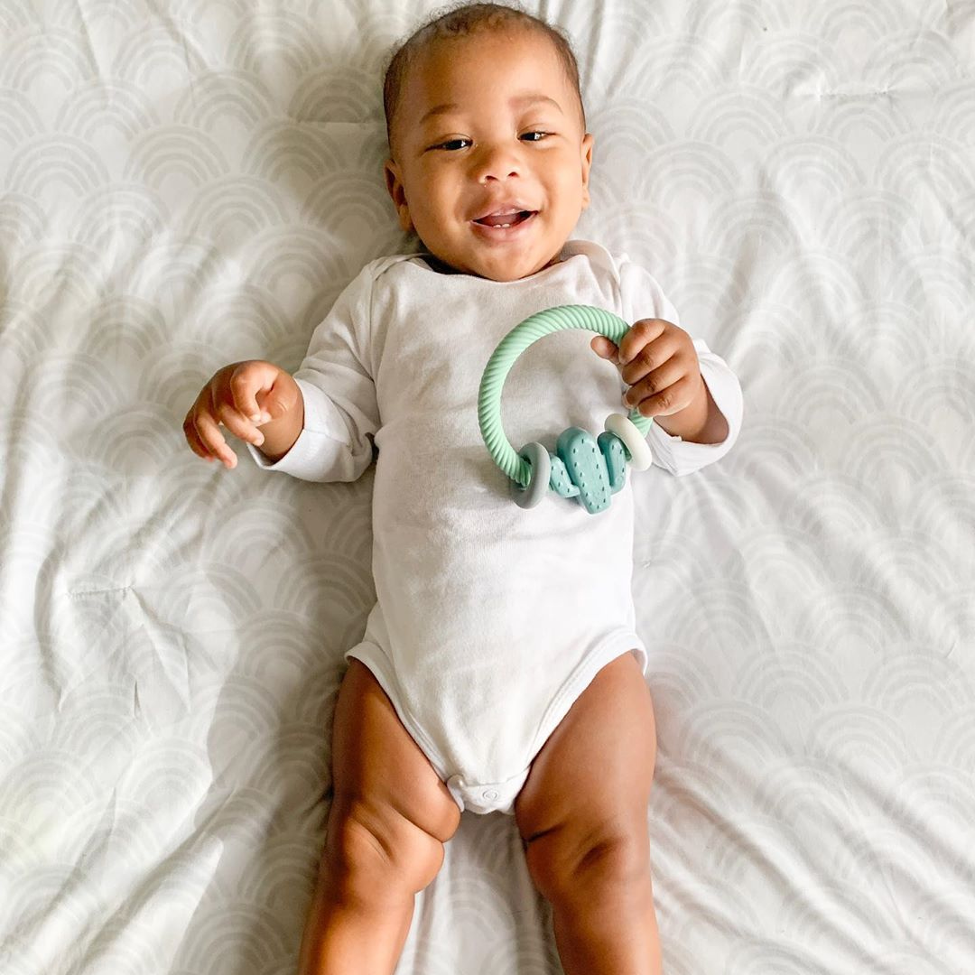Ritzy Rattle™ Silicone Teether Rattles: Dino