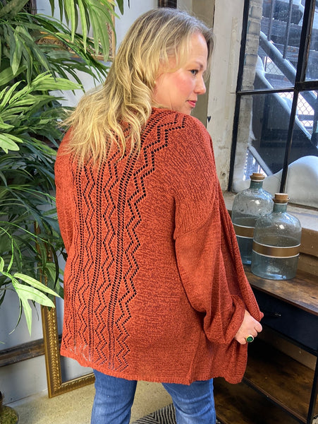 Hannah Red Brown Plus Size Cardigan