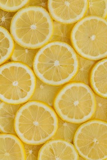 Lemon Balm - MK Threads Boutique