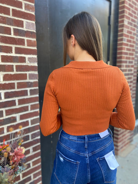 Back view of a a rust colored fitted long sleeved cropped top