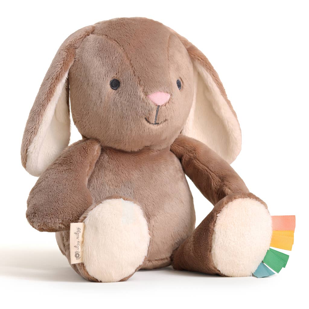 Sweetie Snuggles™ Plush: Goose