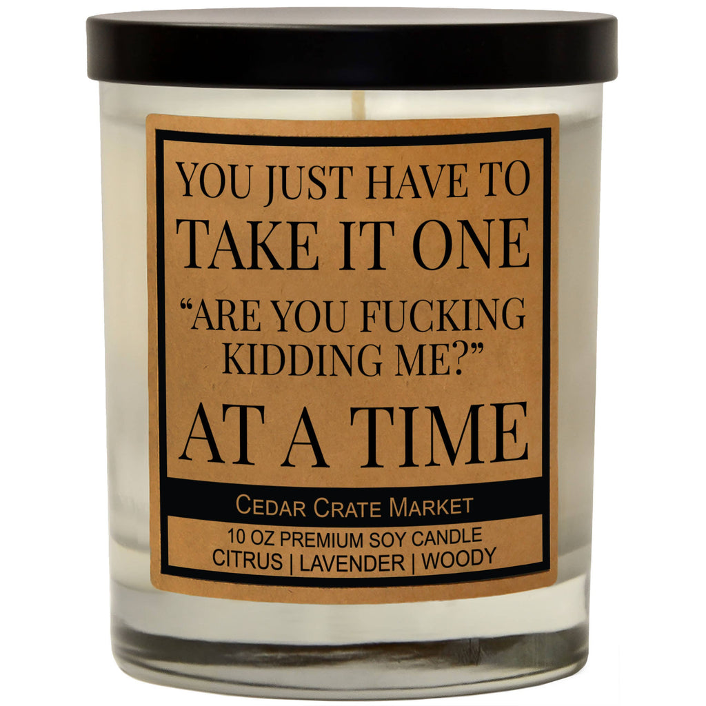 You Have To Take It One Are You Fucking Kidding Me At A Time